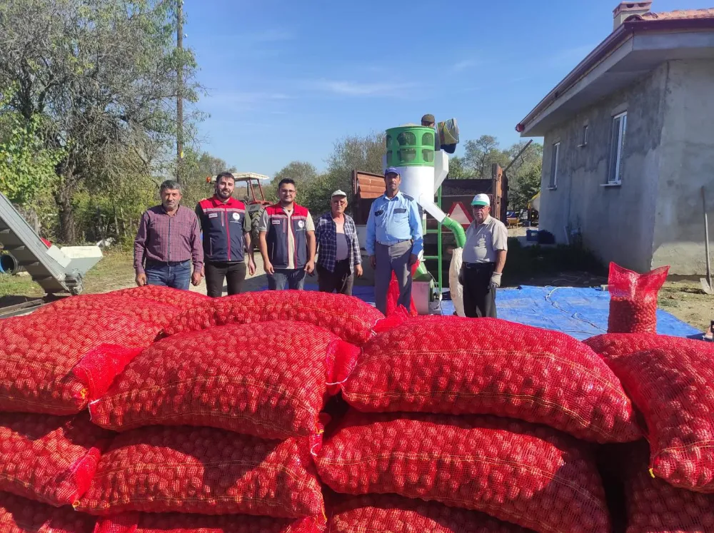 Karaağaç Köyünde Ceviz Hasadı Devam Ediyor.