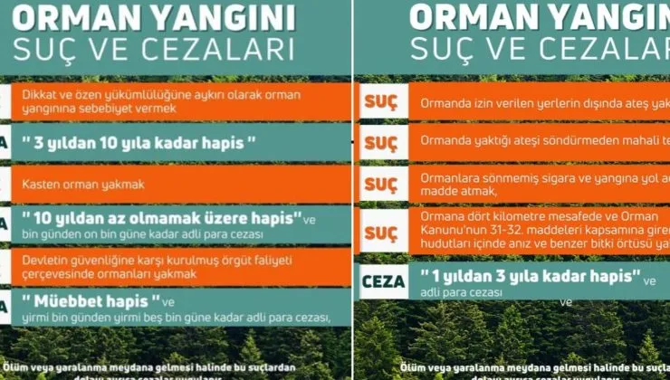 Orman Kanunlarından Haberimiz Var mı?