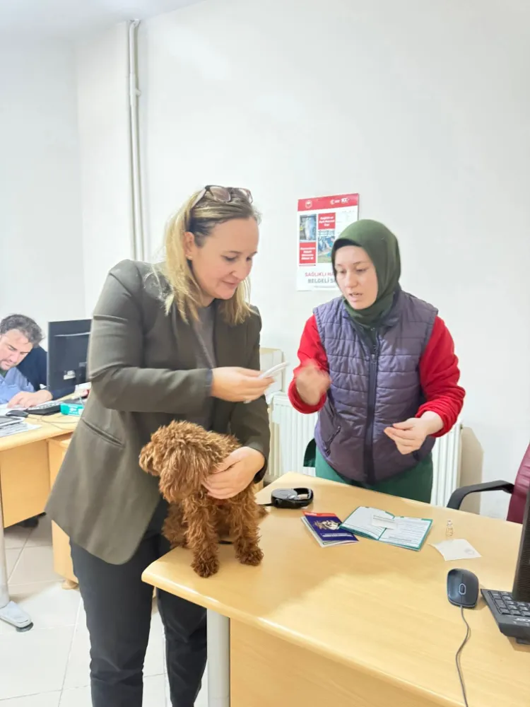 SAHİPLİ KEDİ VE KÖPEKLERİN KİMLİKLENDİRİLMESİNDE SON GÜN: 31 ARALIK 