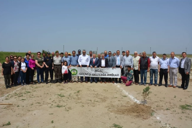 1000 Adet Toros Sediri Fidanı Dikildi.