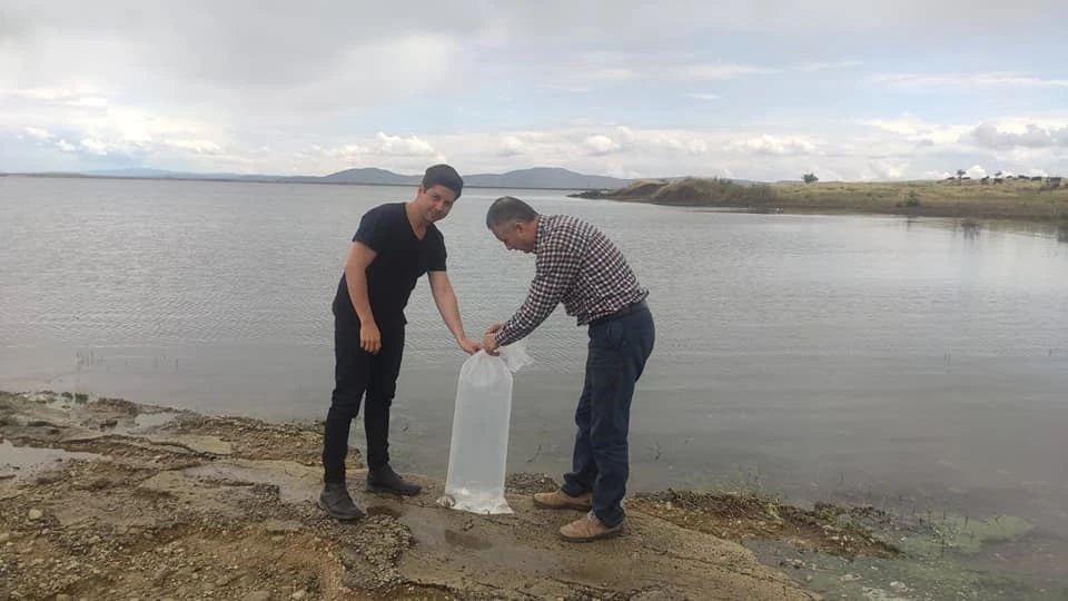 Göletlere Yavru Balık Salındı