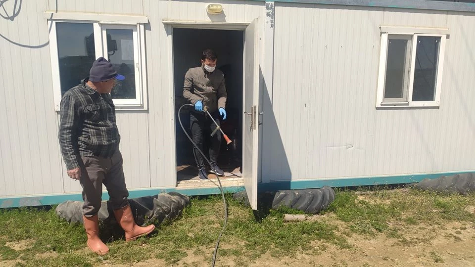 Çeltik Binaları İlaçlandı