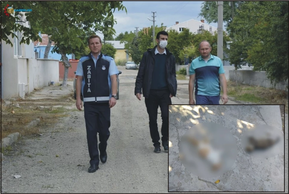 Fare Zehiri İle Öldürülmüşler!