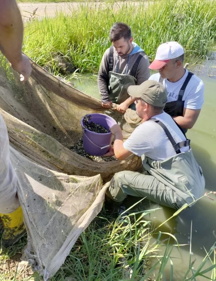 1 Milyon Balık Bursa’ya Gönderildi.