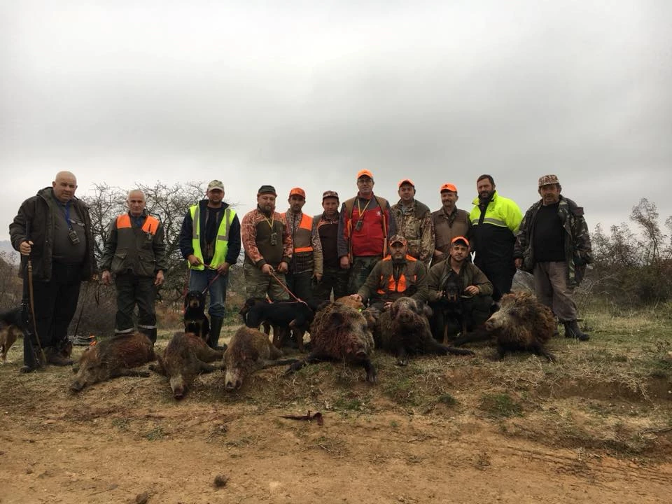 Kurtuluş İçin Sürek Avına Çıktılar.