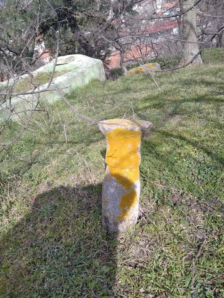 Tarihi Mezarlara Sahip Çıkılması İstendi