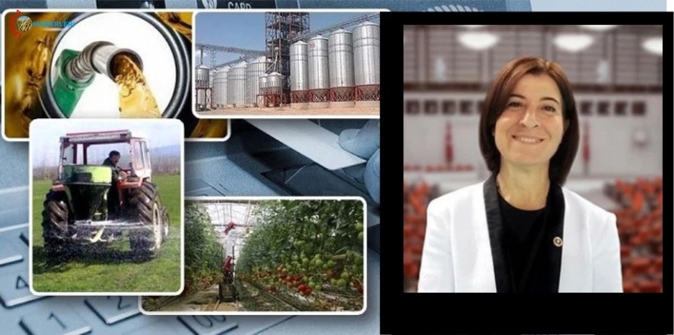 Fatma Aksal, destekleme ödemelerinin ödenmeye başlandığını açıkladı