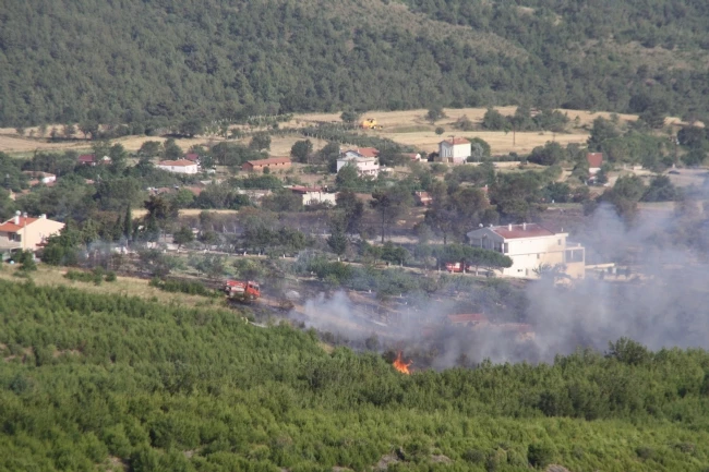 Saros Körfezi?nin ciğeri yandı