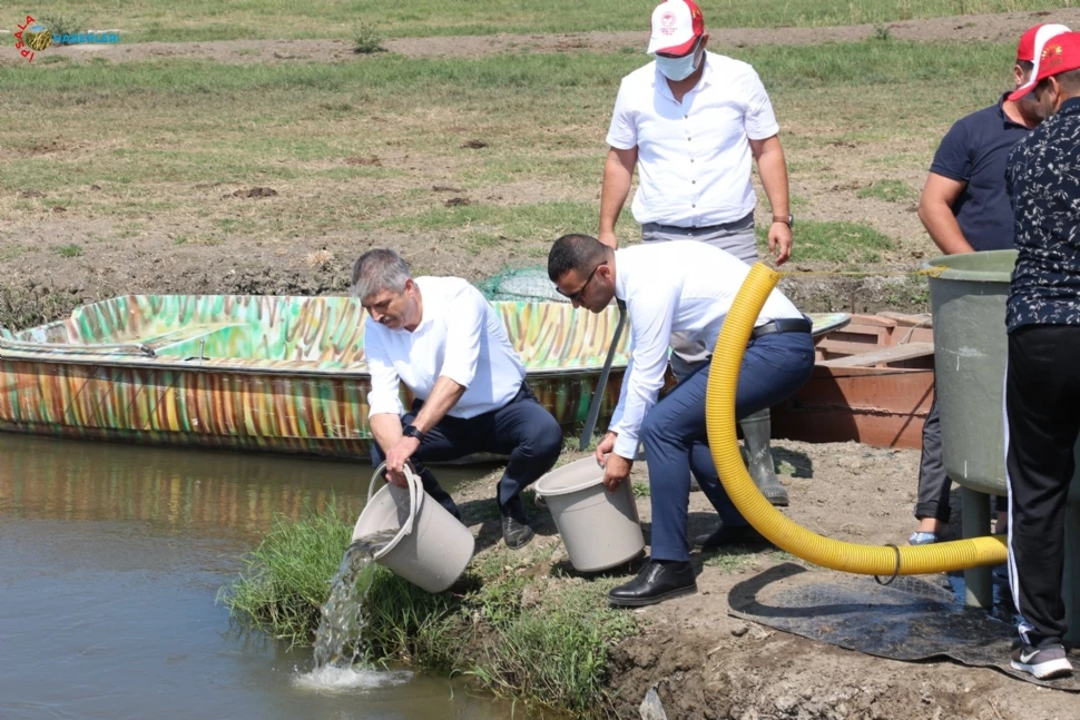 400 Bin Yavru Sazan Balığı  Gala’da