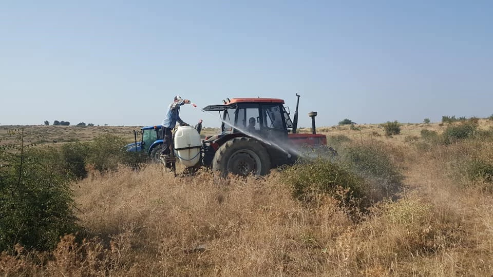 Koyuntepe Köyünde Meralara Karaçalı İlaçlaması Yapıldı