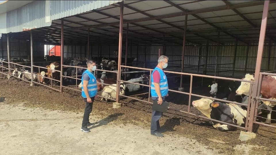 Sarpdere Köyünde Ahırlar Kontrol Edildi.
