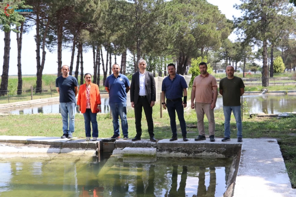 Bayazıt, İpsala’da İncelemelerde Bulundu.