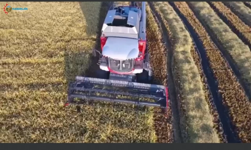 Hamzadere Hayırlı Hasatlar Diledi.