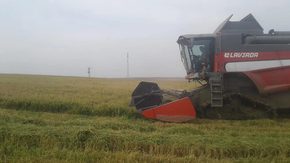 Damla Sulama İle Çeltik Yetiştirdi.