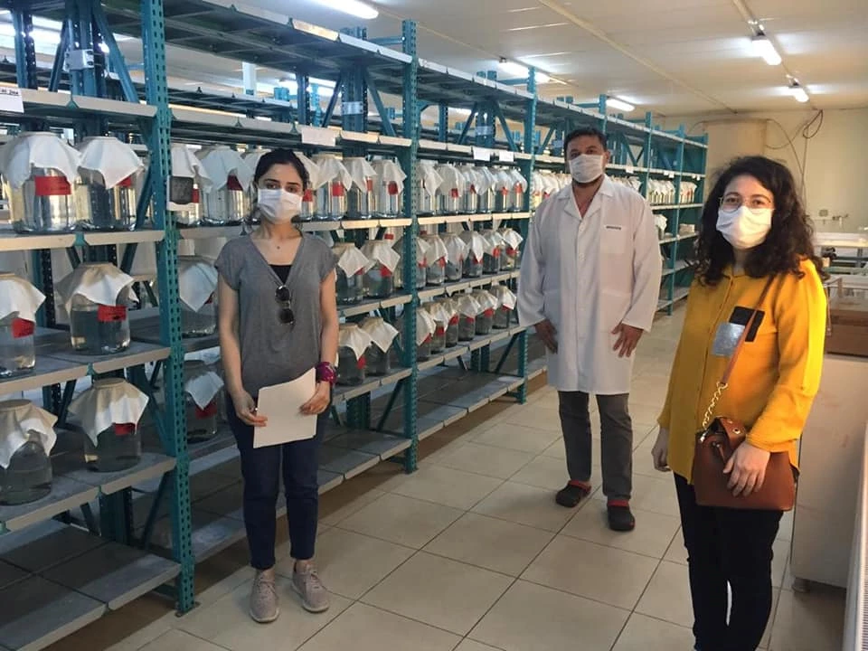 Esnafa Covid19 Denetlemesi