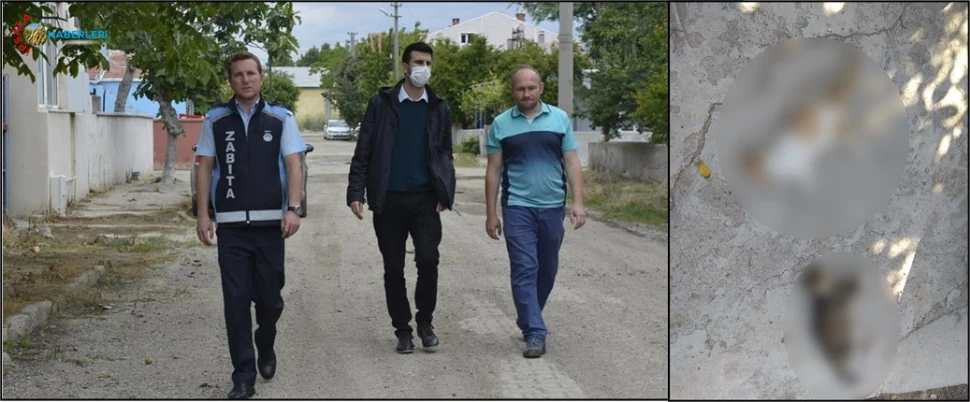 Sorumlular Aranıyor!