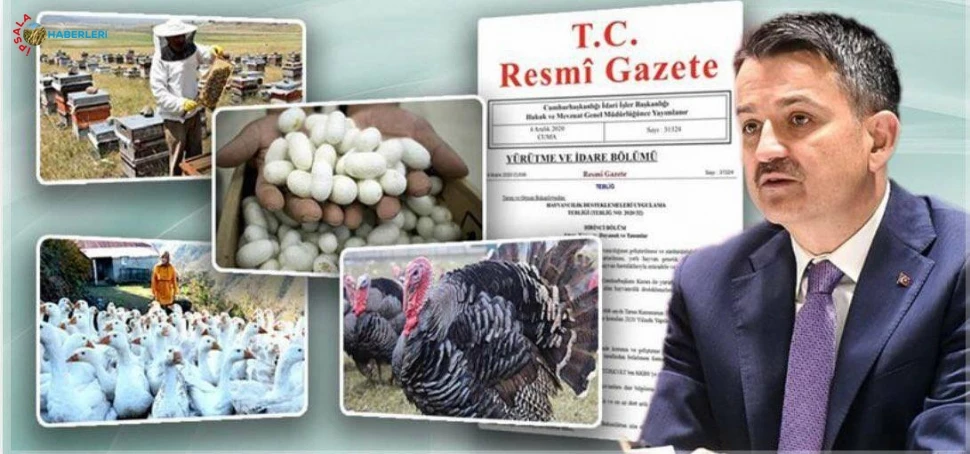 Destek Bizden Üretim Sizden