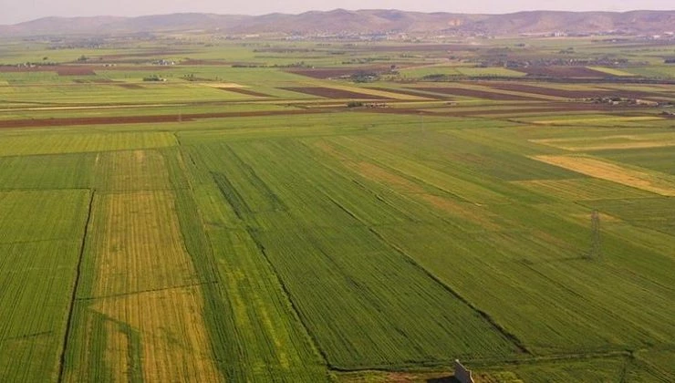 Arazisi İhalesi 12 Aralık’ta yapılacak