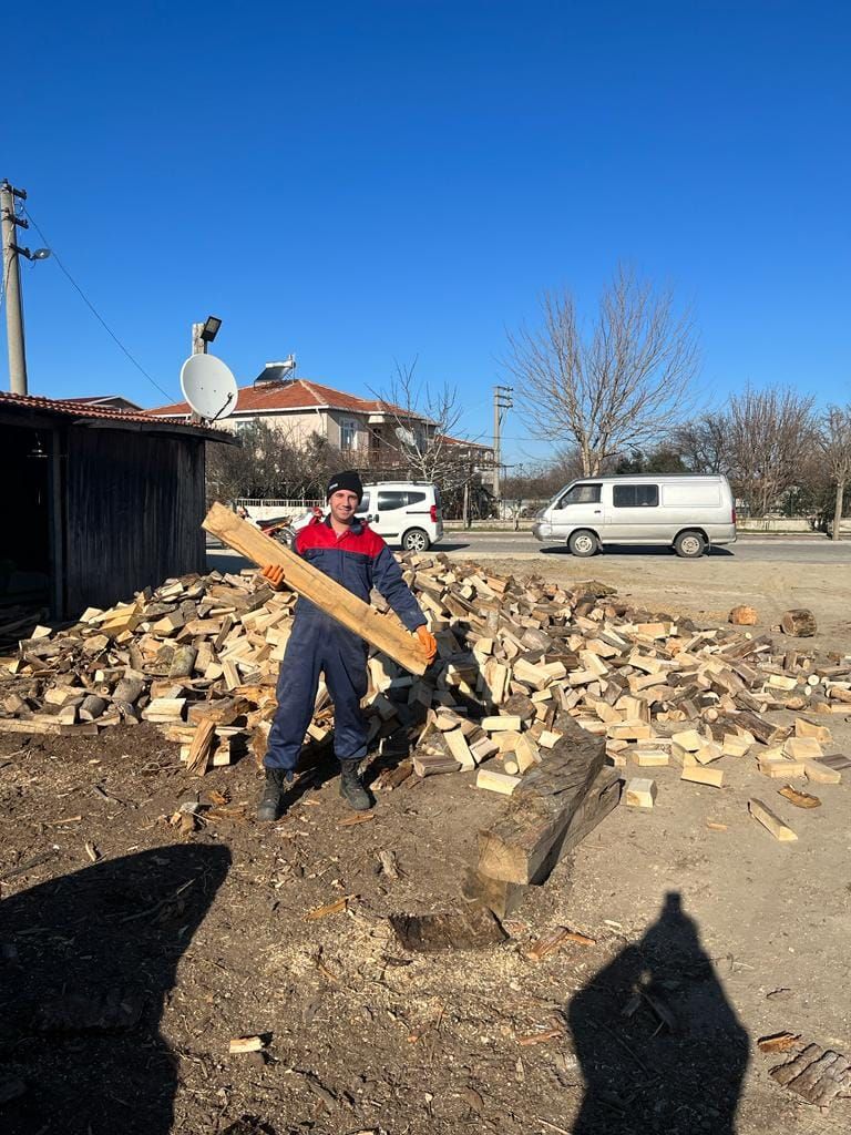 Odunlar Depremzedeler İçin Kesildi.