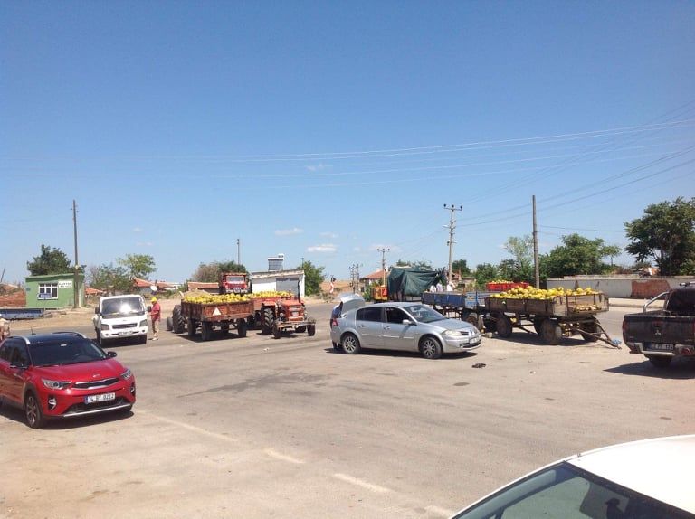 Dalaman Kavunu Revaçta!