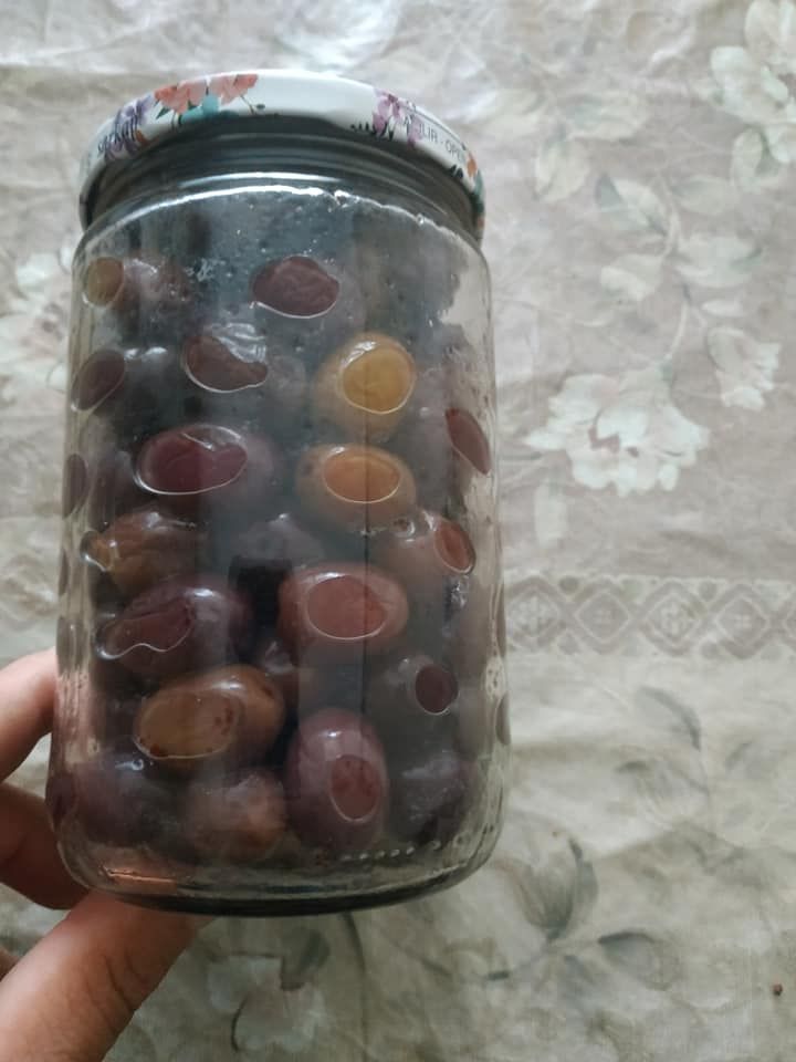 Hasan Aytekin, ”İpsala’da Zeytin Yetişir”