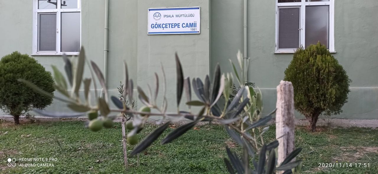 Hasan Aytekin, ”İpsala’da Zeytin Yetişir”